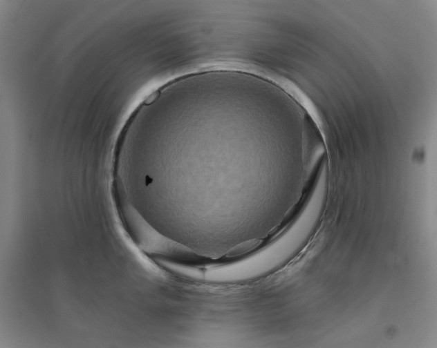X0000094421005200711151316