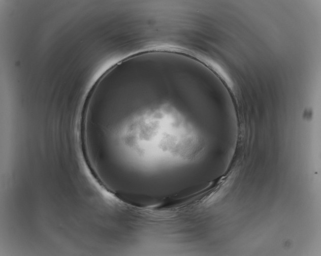 X0000094421007200711151316