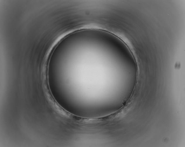 X0000094421008200711151316