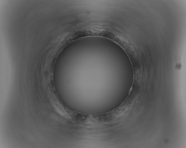 X0000094421009200711151315