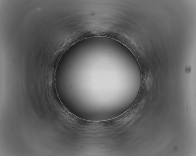X0000094421012200711151315