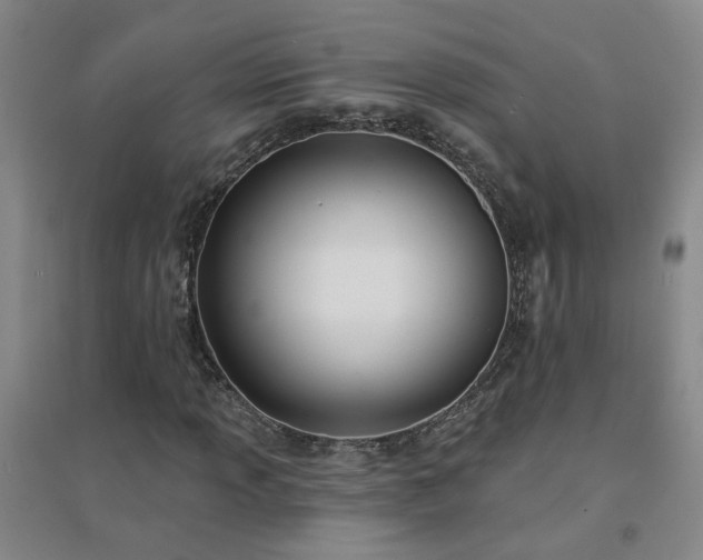 X0000094421013200711151315
