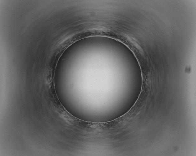 X0000094421015200711151315