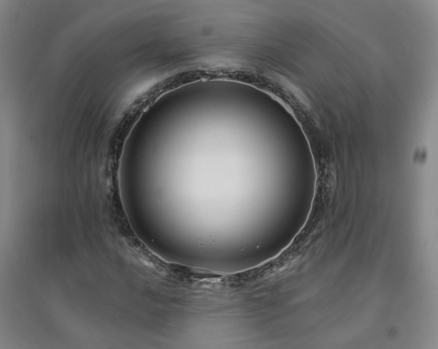 X0000094421016200711151315