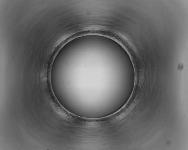 X0000094421017200711151315