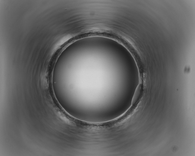 X0000094421018200711151315