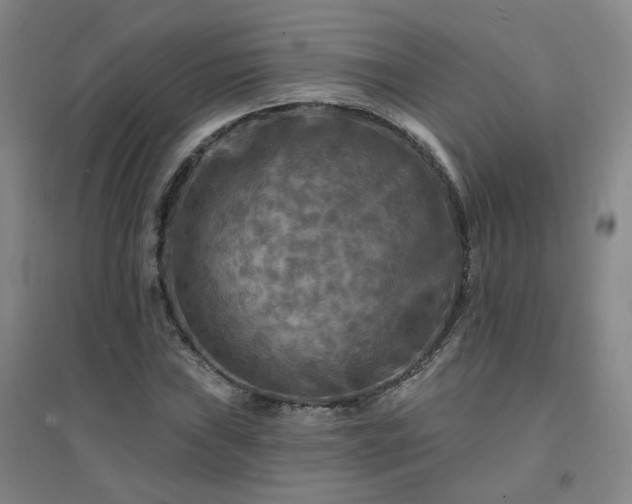 X0000094421019200711151315