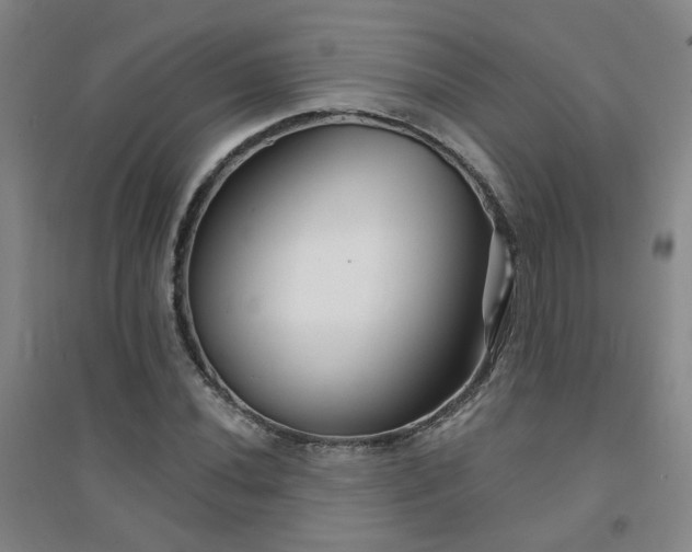 X0000094421020200711151315