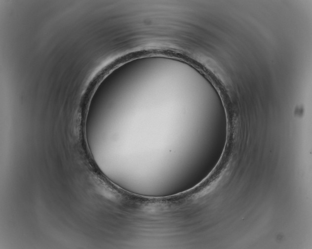 X0000094421021200711151315