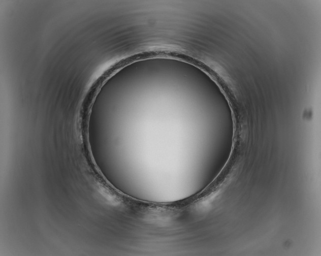 X0000094421022200711151315