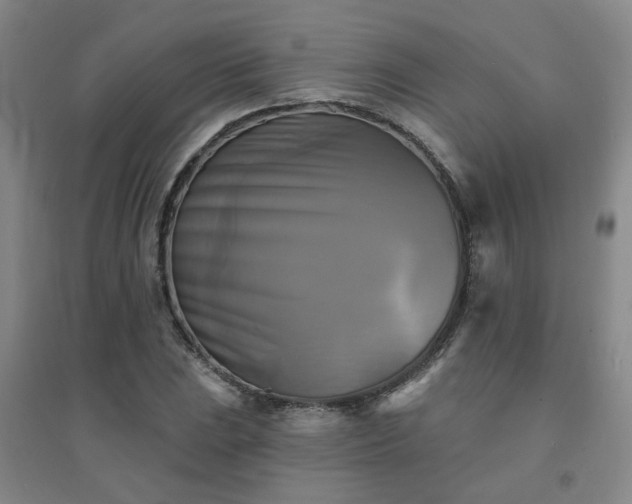 X0000094421023200711151315
