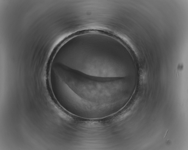 X0000094421024200711151315