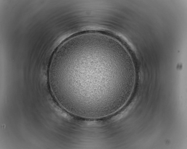 X0000094421025200711151315