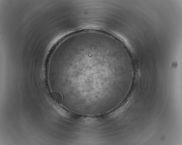 X0000094421027200711151315
