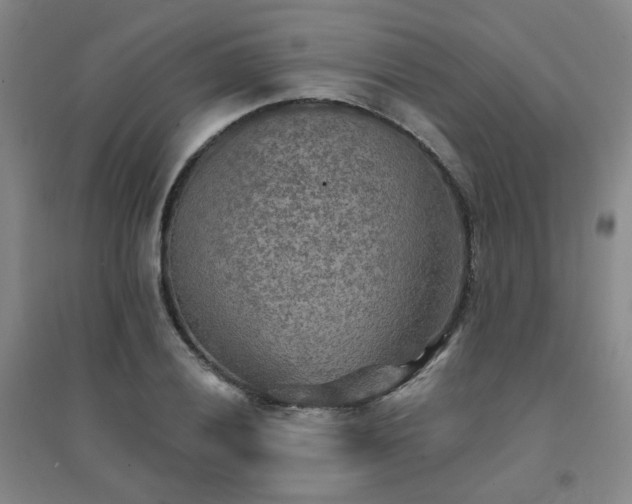 X0000094421028200711151315