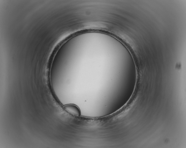 X0000094421029200711151315