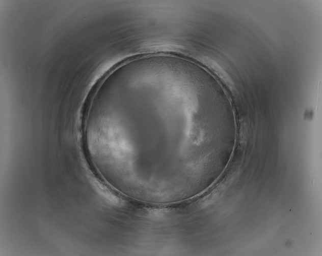 X0000094421031200711151315