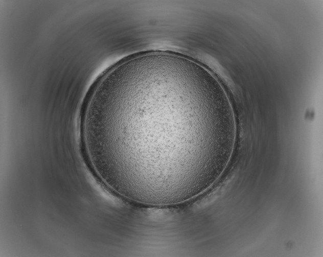 X0000094421032200711151315
