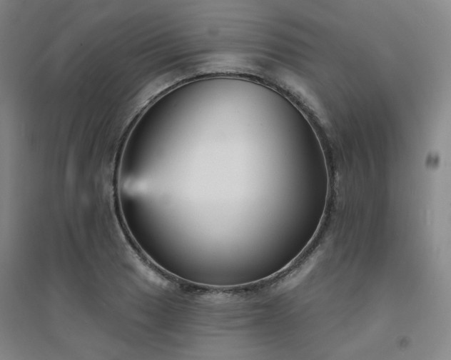 X0000094421033200711151315