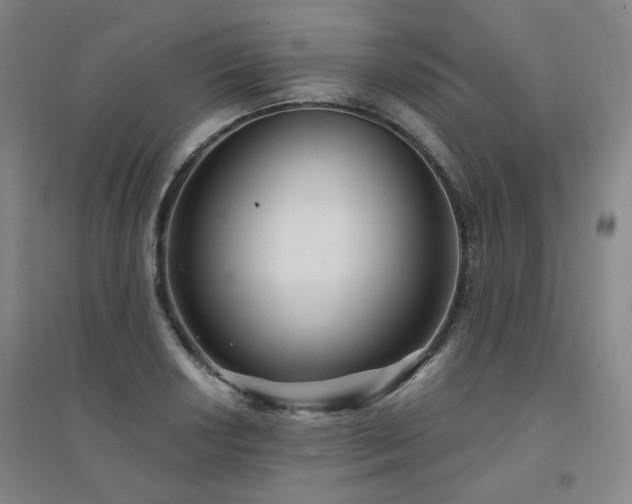 X0000094421034200711151315