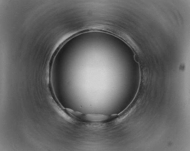 X0000094421036200711151315