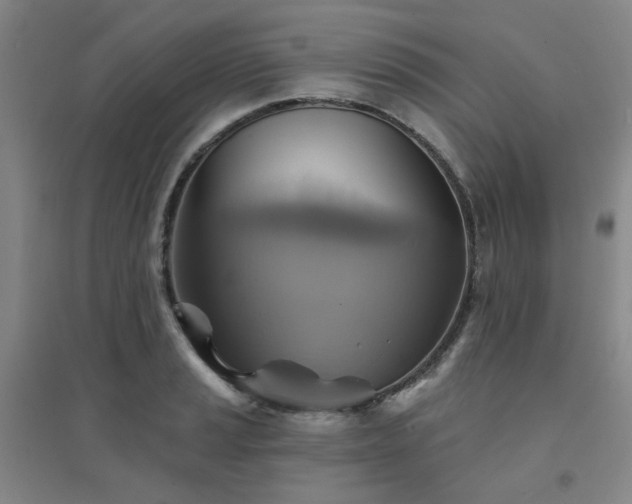 X0000094421037200711151315