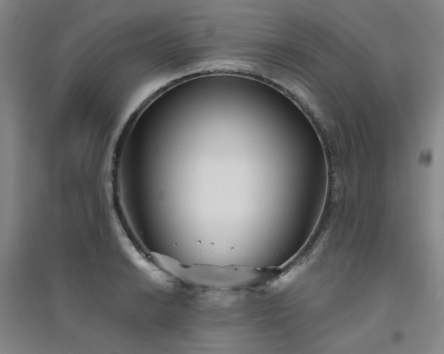 X0000094421038200711151315