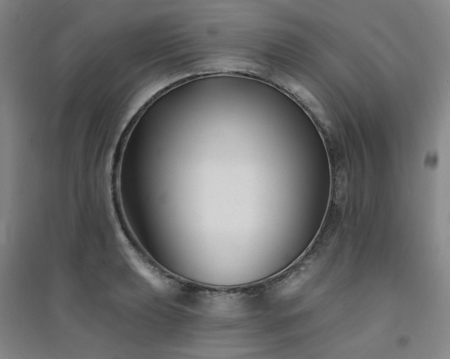 X0000094421039200711151315