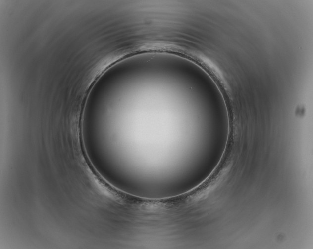 X0000094421041200711151315