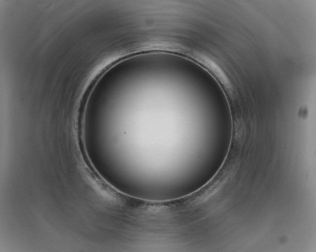 X0000094421043200711151315