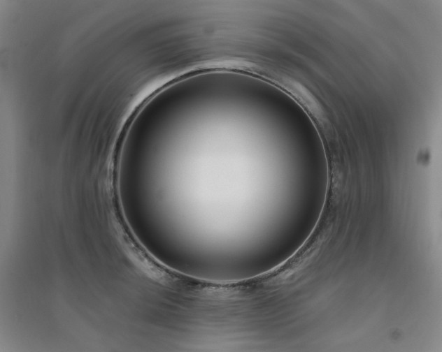 X0000094421044200711151315
