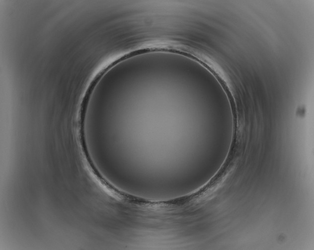 X0000094421045200711151316