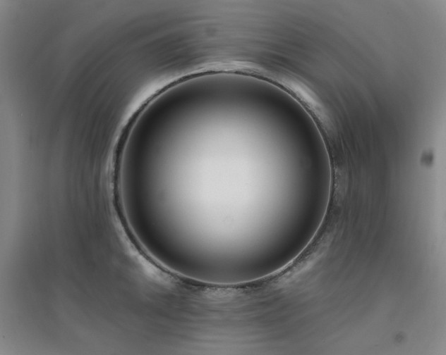X0000094421046200711151316