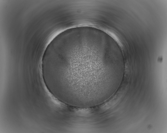 X0000094421047200711151316