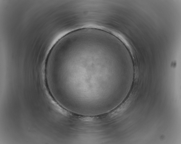 X0000094421048200711151316