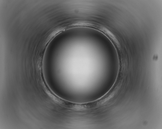 X0000094421049200711151316