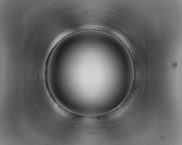 X0000094421050200711151316