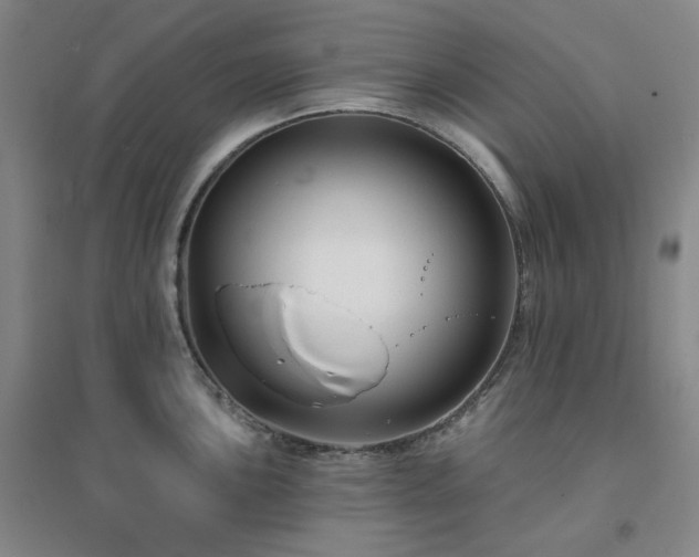 X0000094421051200711151316