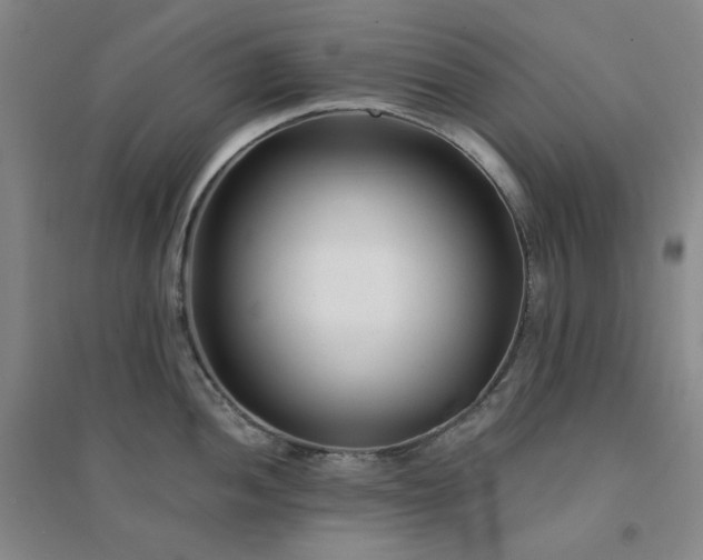 X0000094421052200711151316