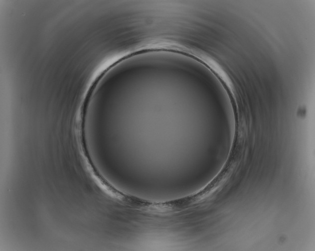 X0000094421053200711151316