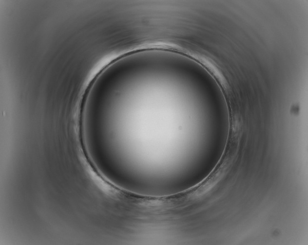 X0000094421054200711151316