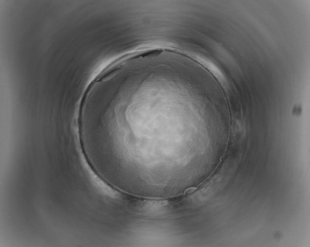 X0000094421055200711151316