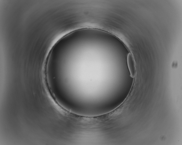 X0000094421056200711151316