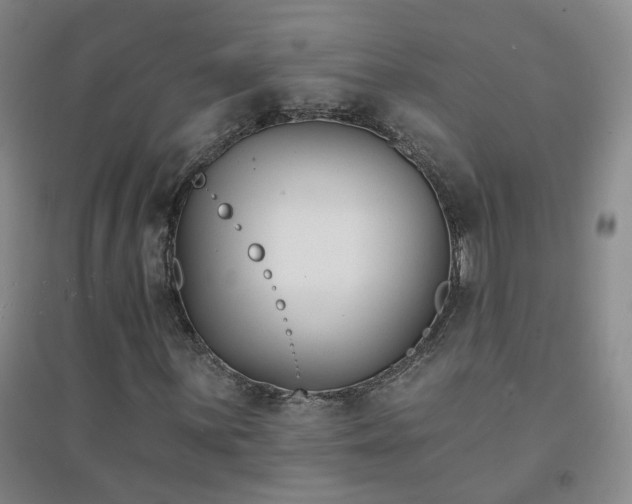 X0000094421059200711151315