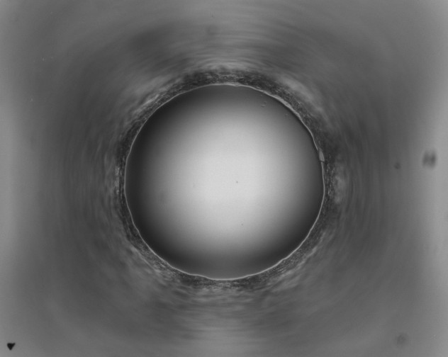 X0000094421061200711151315