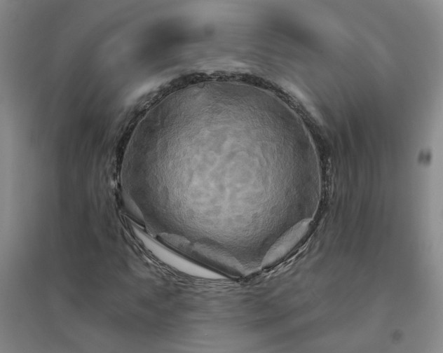 X0000094421063200711151315