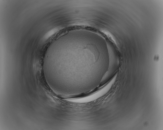 X0000094421064200711151315