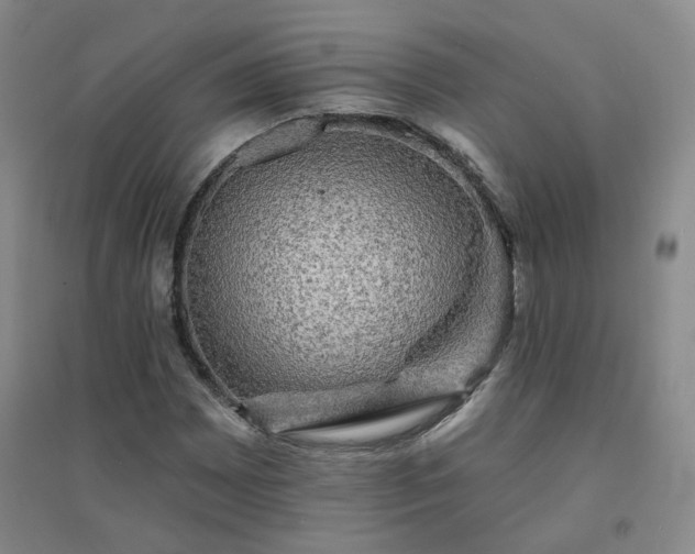 X0000094421065200711151315