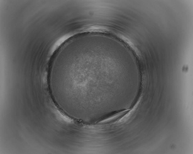 X0000094421066200711151315