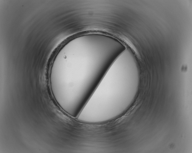 X0000094421068200711151315